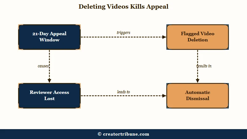 YouTube appeal state preservation rules
