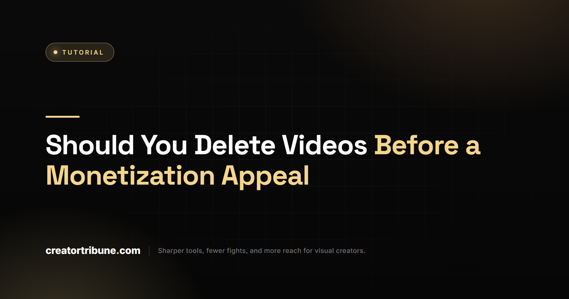Should You Delete Videos Before a Monetization Appeal