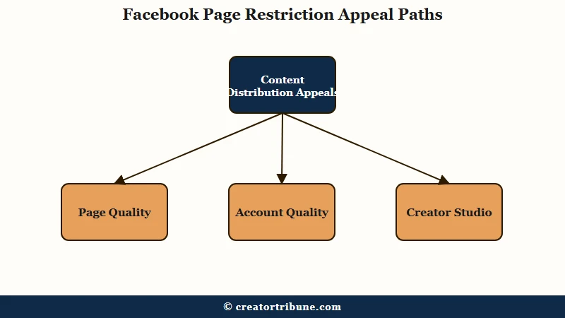 Facebook page restriction appeal process by type