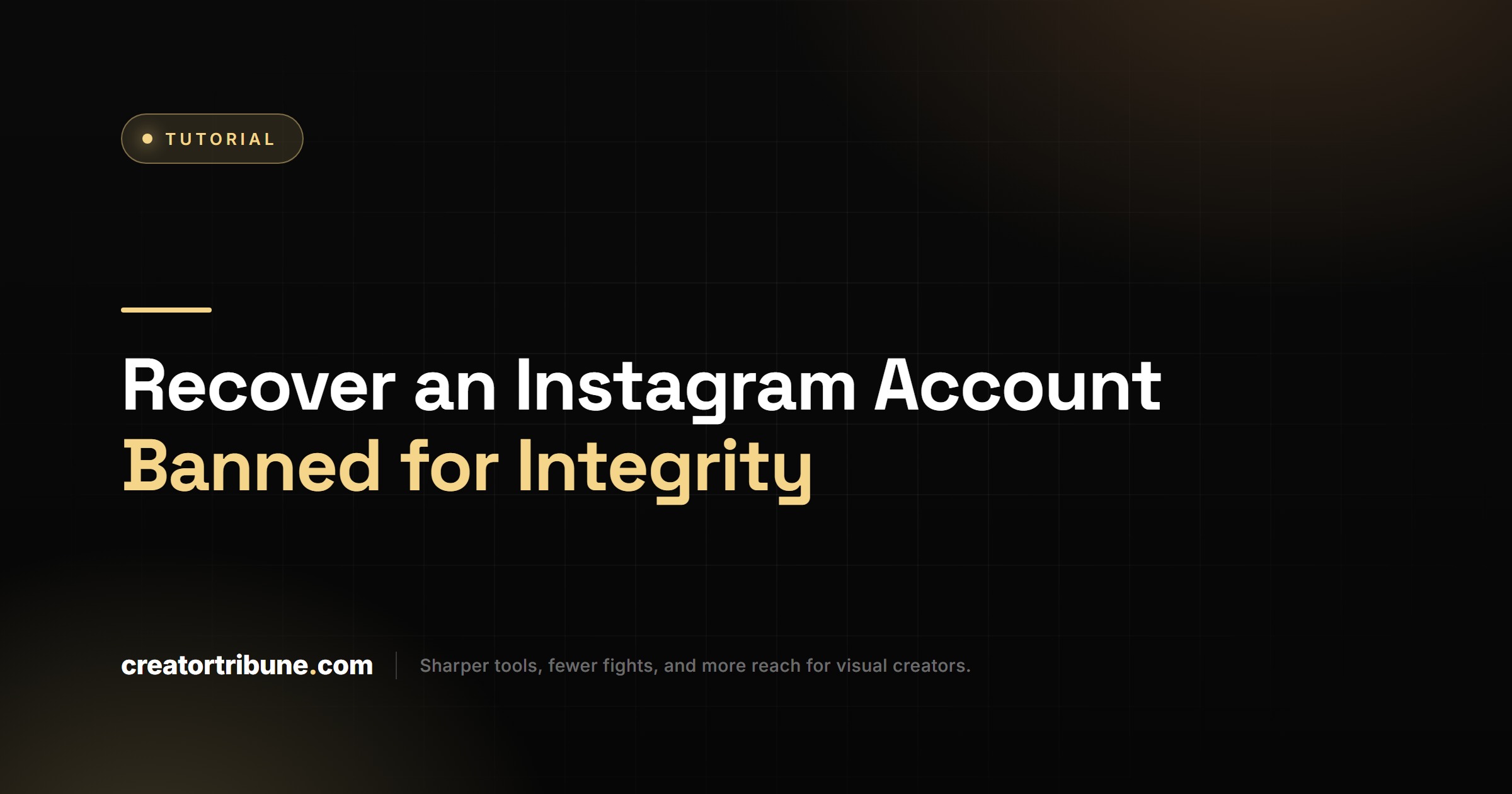 Recover an Instagram Account Banned for Integrity