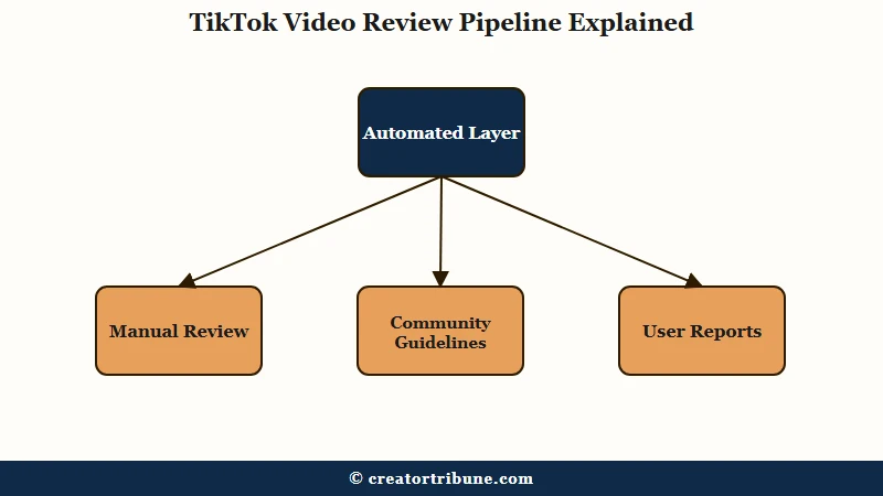 TikTok under review pipeline automated manual