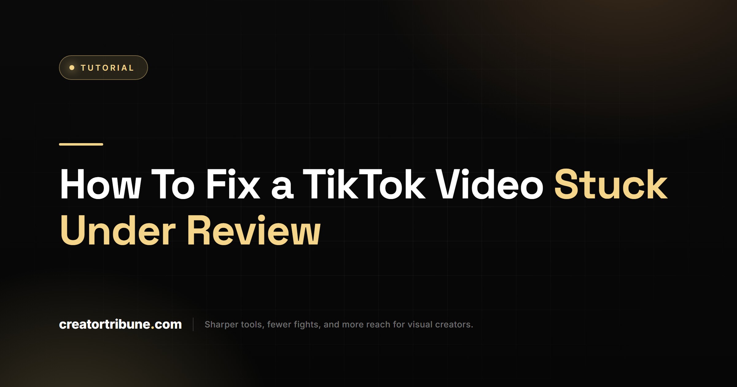 How To Fix a TikTok Video Stuck Under Review