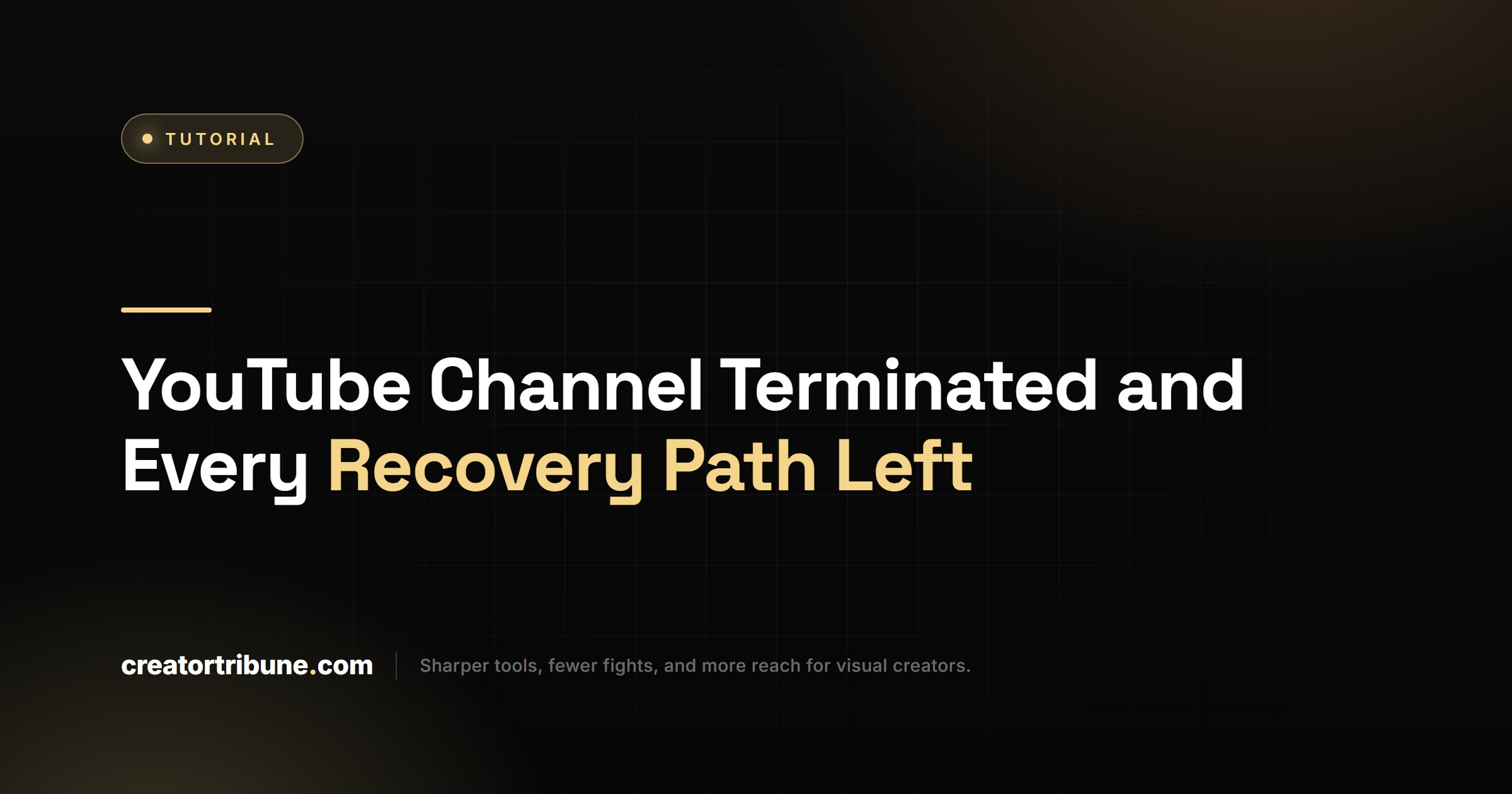 YouTube Channel Terminated and Every Recovery Path Left
