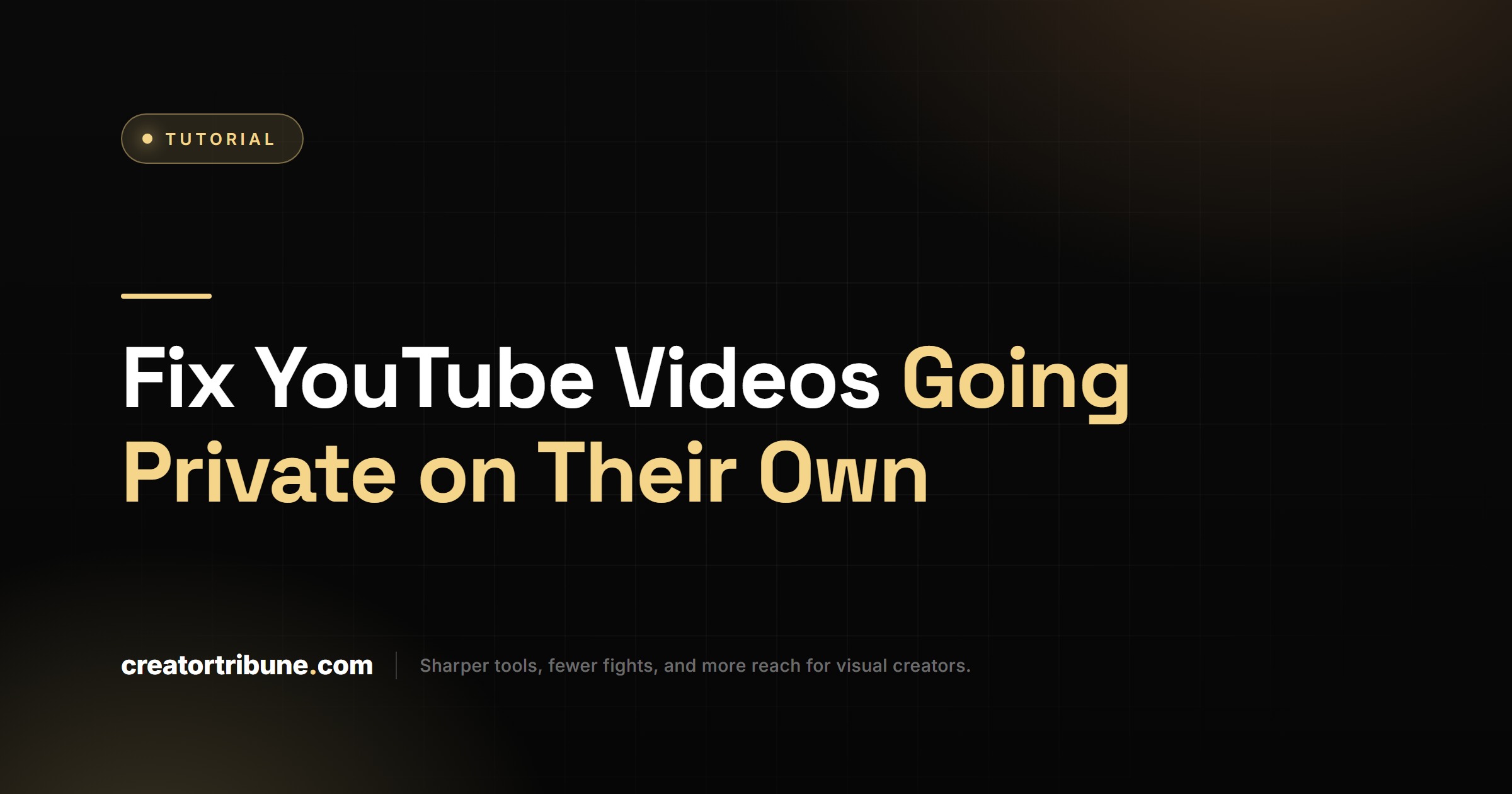 Fix YouTube Videos Going Private on Their Own