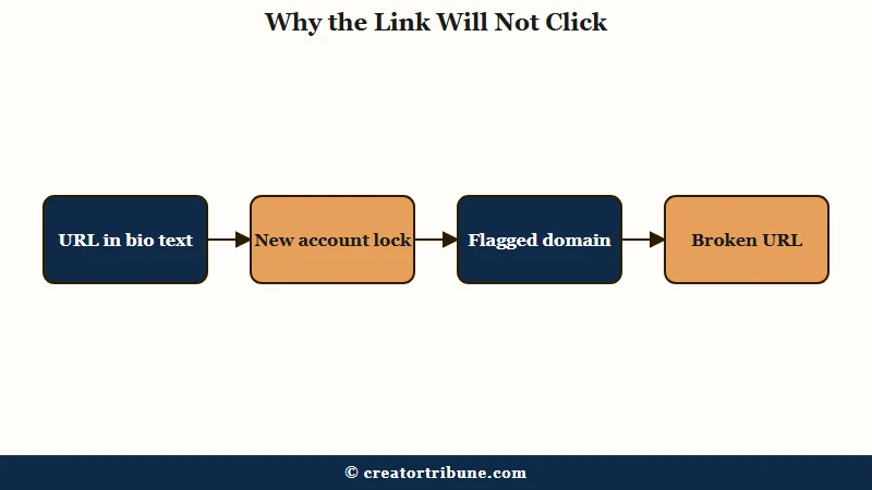 Why an Instagram bio link is not clickable