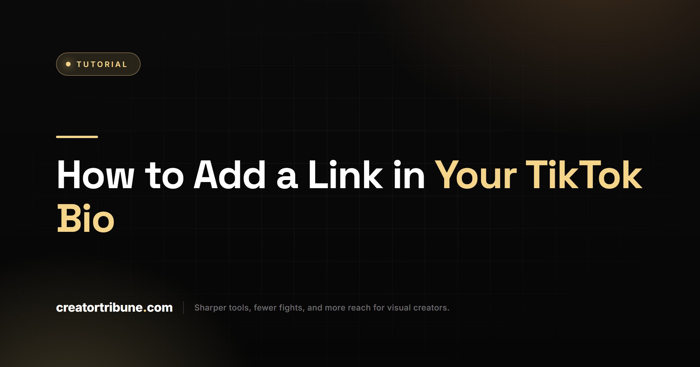How to Add a Link in Your TikTok Bio