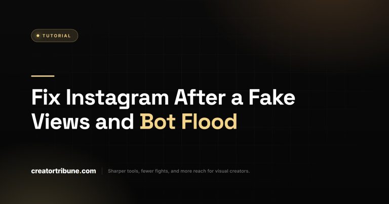 Fix Instagram Fake Views Bot Flood