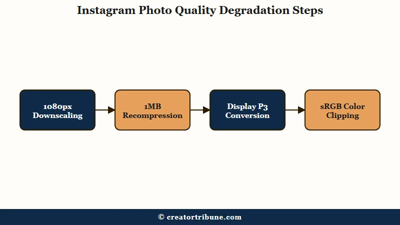Three ways Instagram degrades photo quality