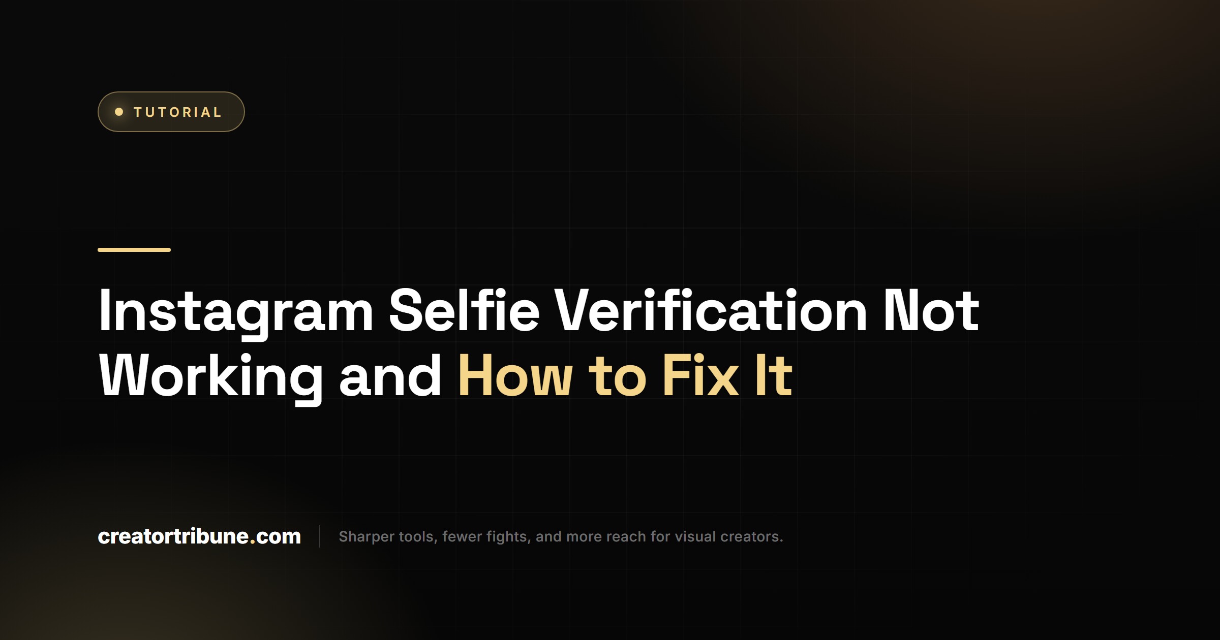 Instagram Selfie Verification Not Working and How to Fix It