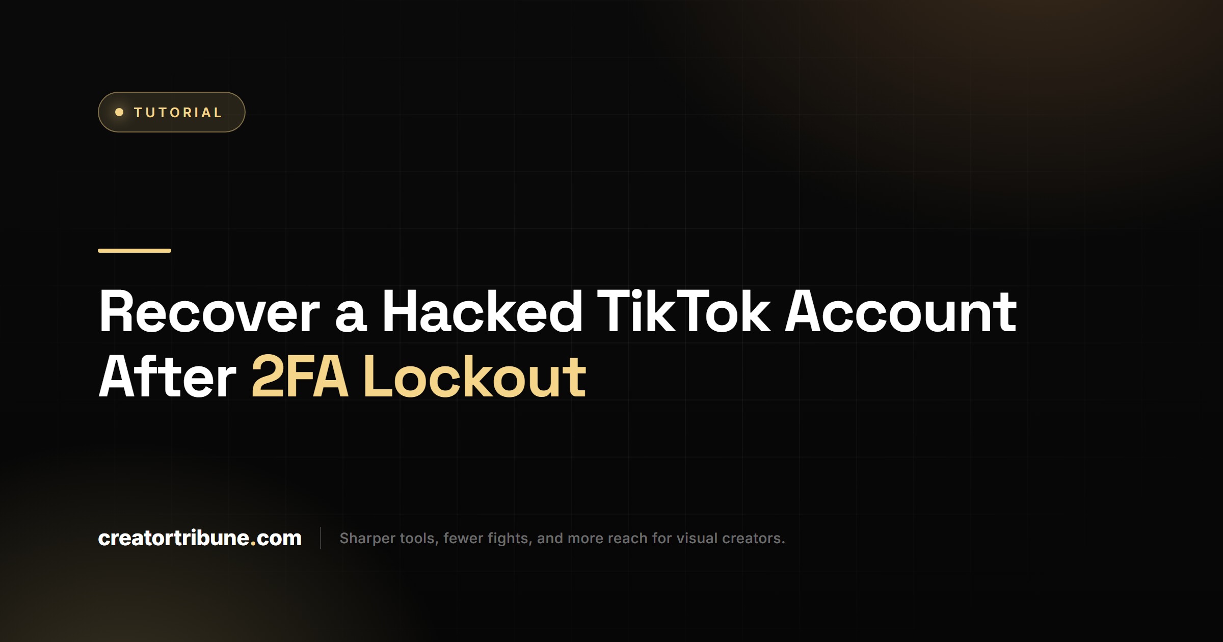 Recover a Hacked TikTok Account After 2FA Lockout