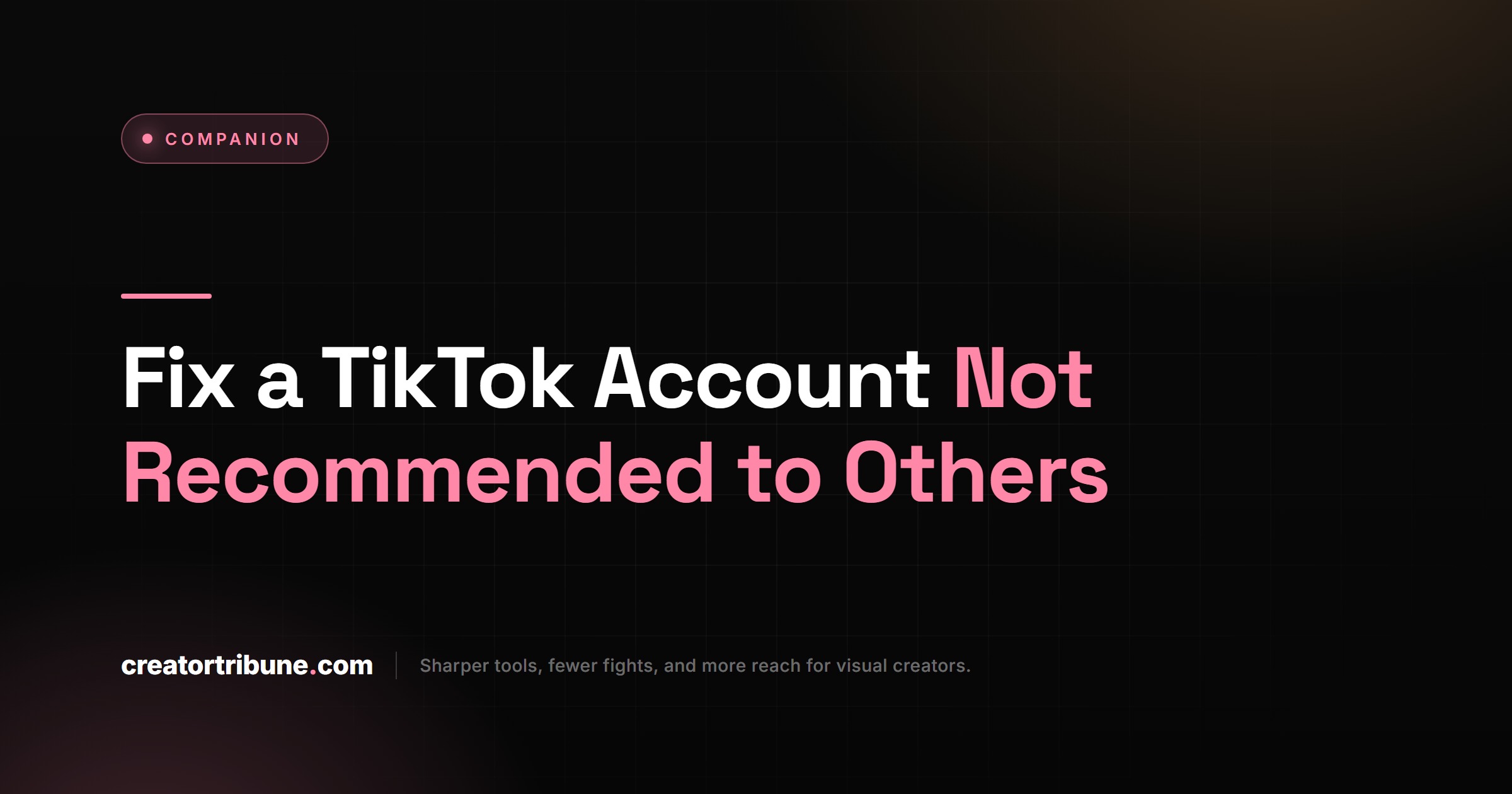 TikTok Account Not Recommended To Others Fix