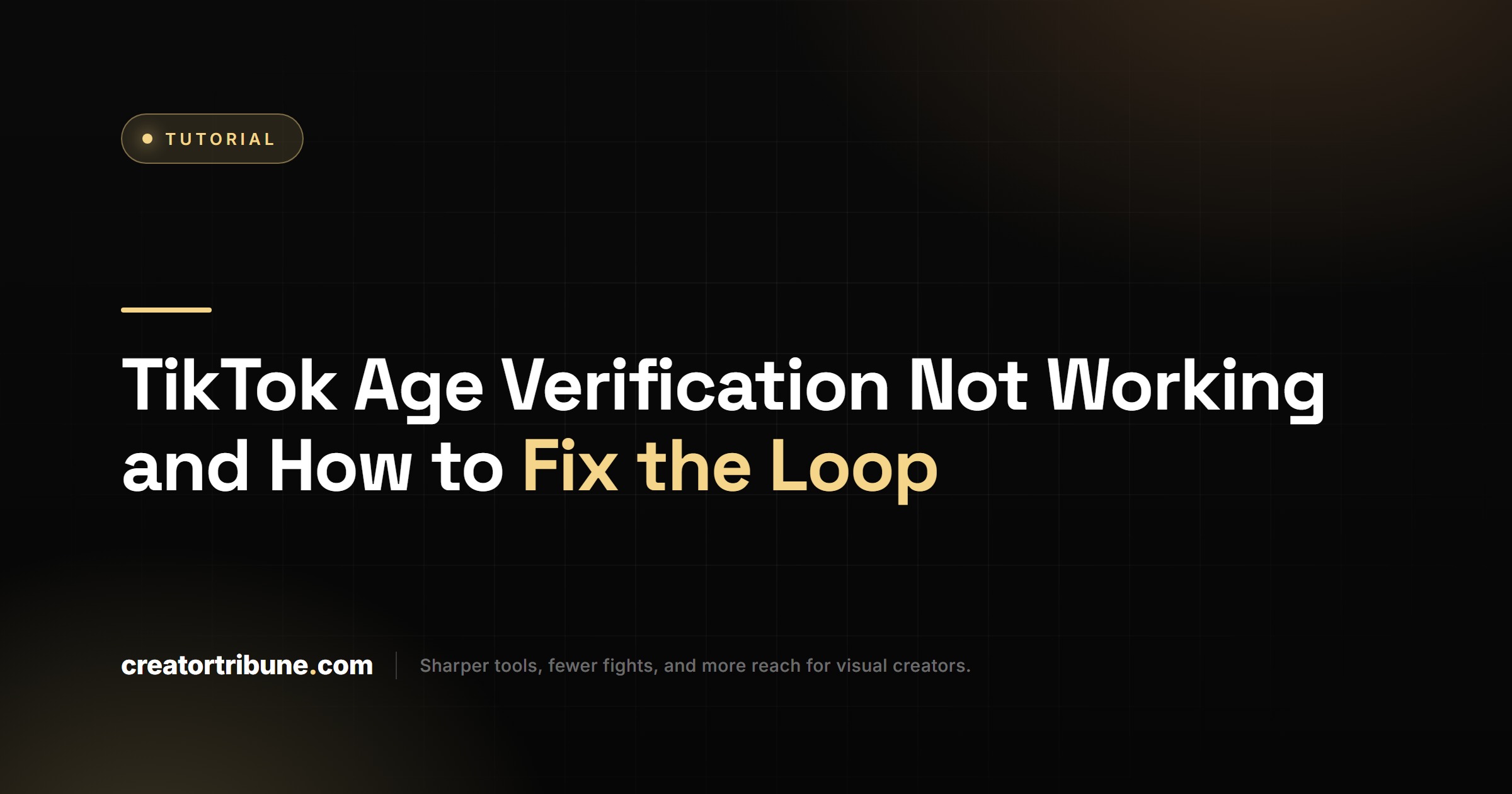 TikTok Age Verification Not Working and How to Fix the Loop