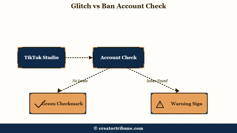 TikTok Studio Account Check glitch versus ban