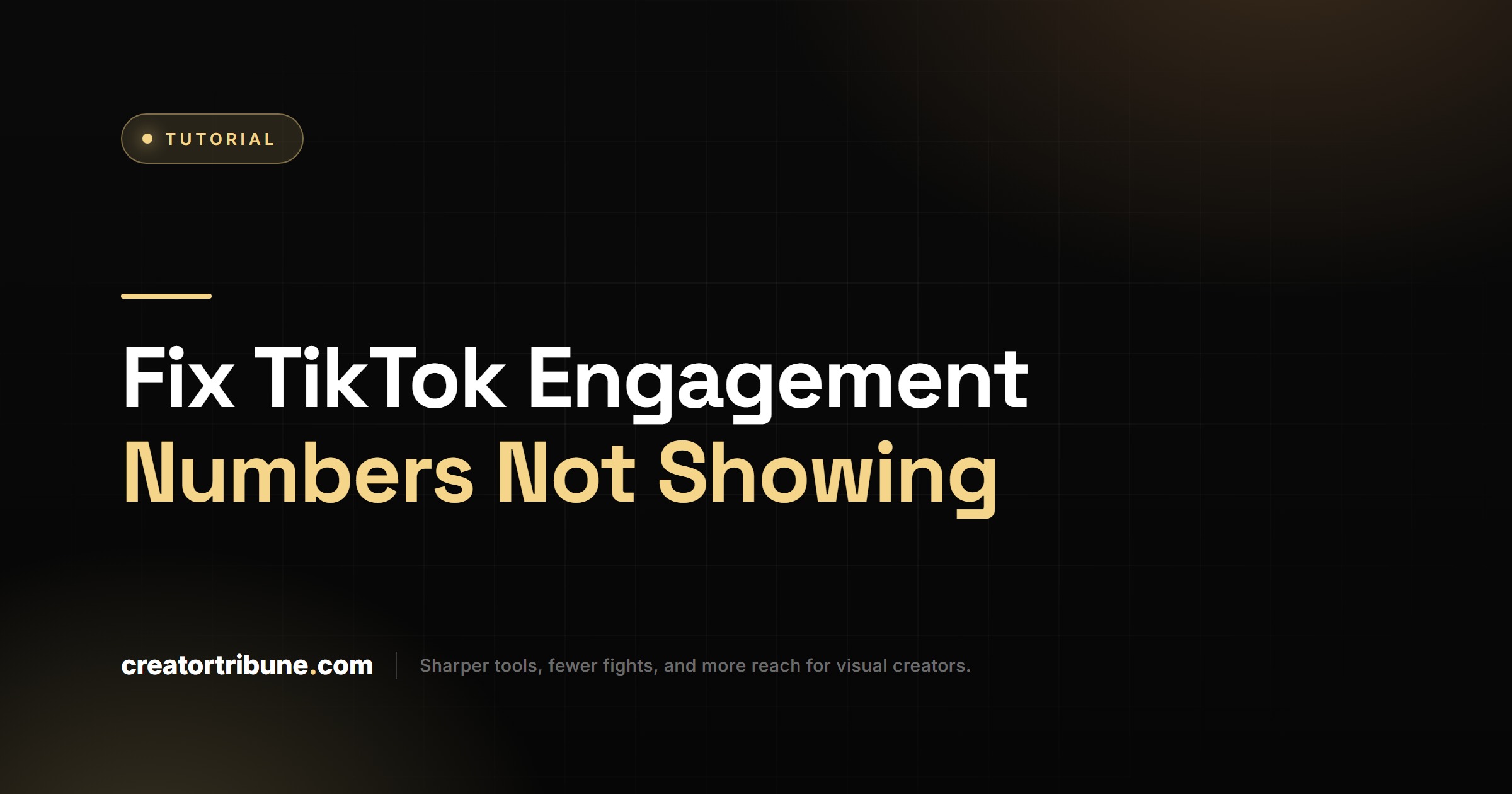 Fix TikTok Engagement Numbers Not Showing