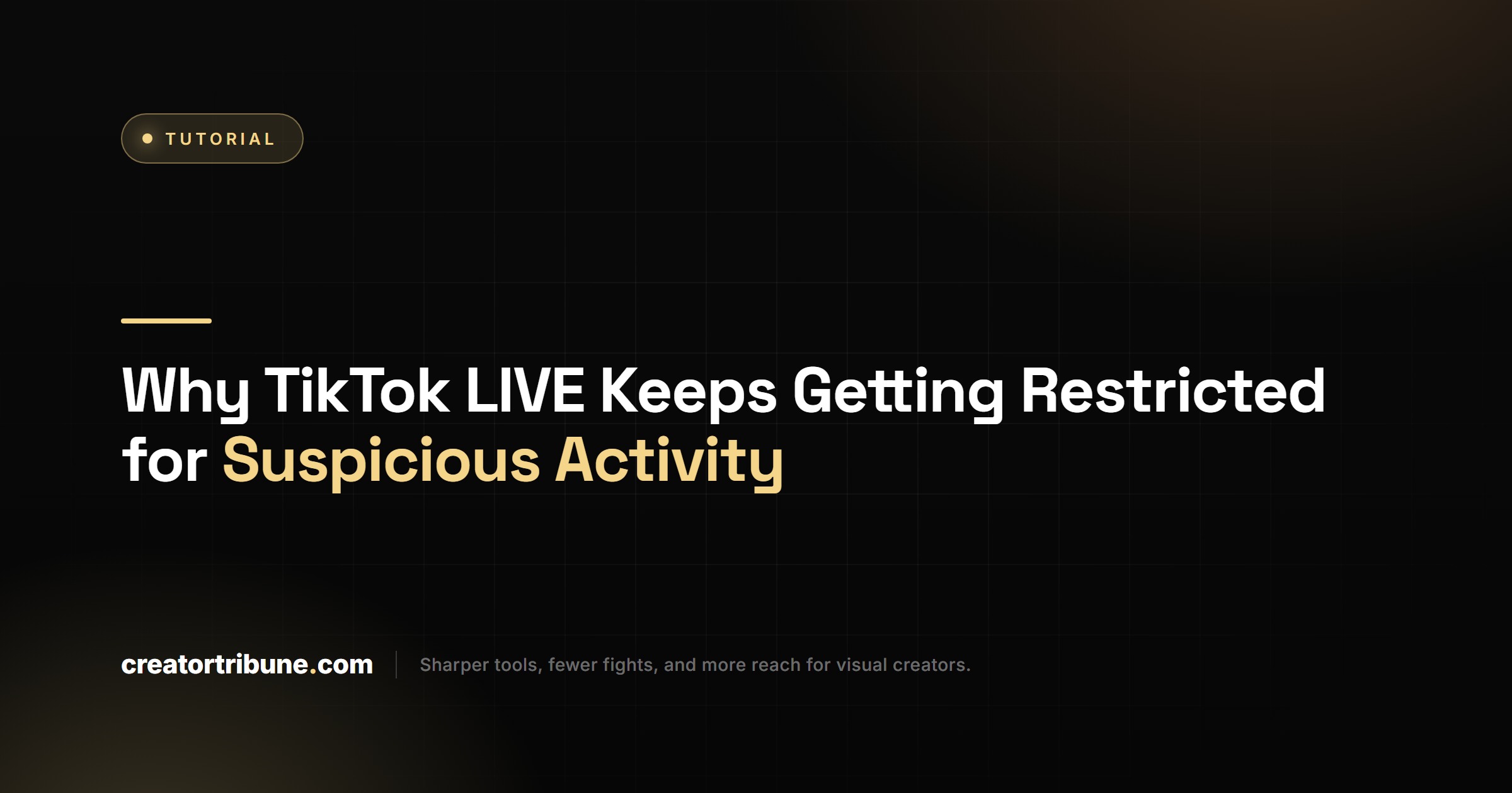 TikTok LIVE Restricted Suspicious Activity