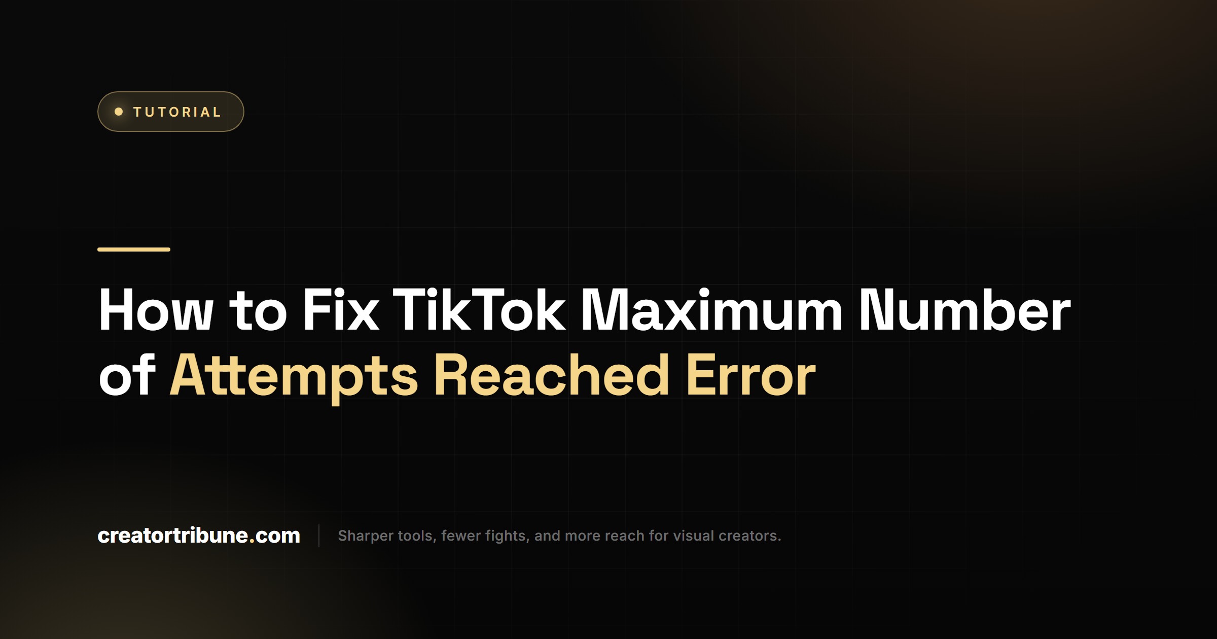 How to Fix TikTok Maximum Number of Attempts Reached Error