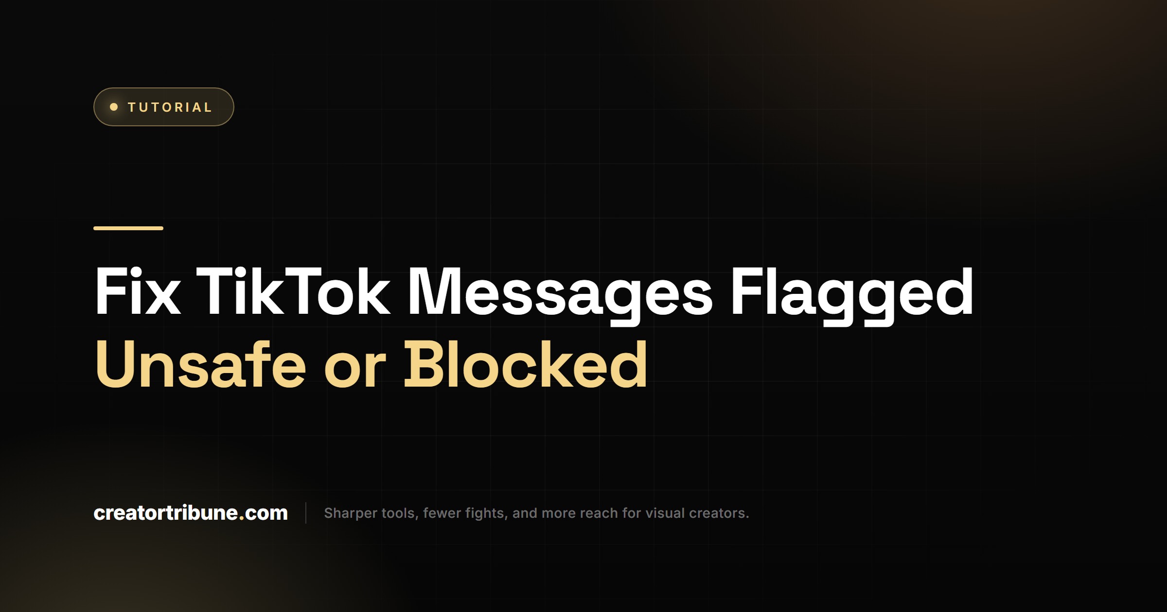 Fix TikTok Messages Flagged Unsafe or Blocked