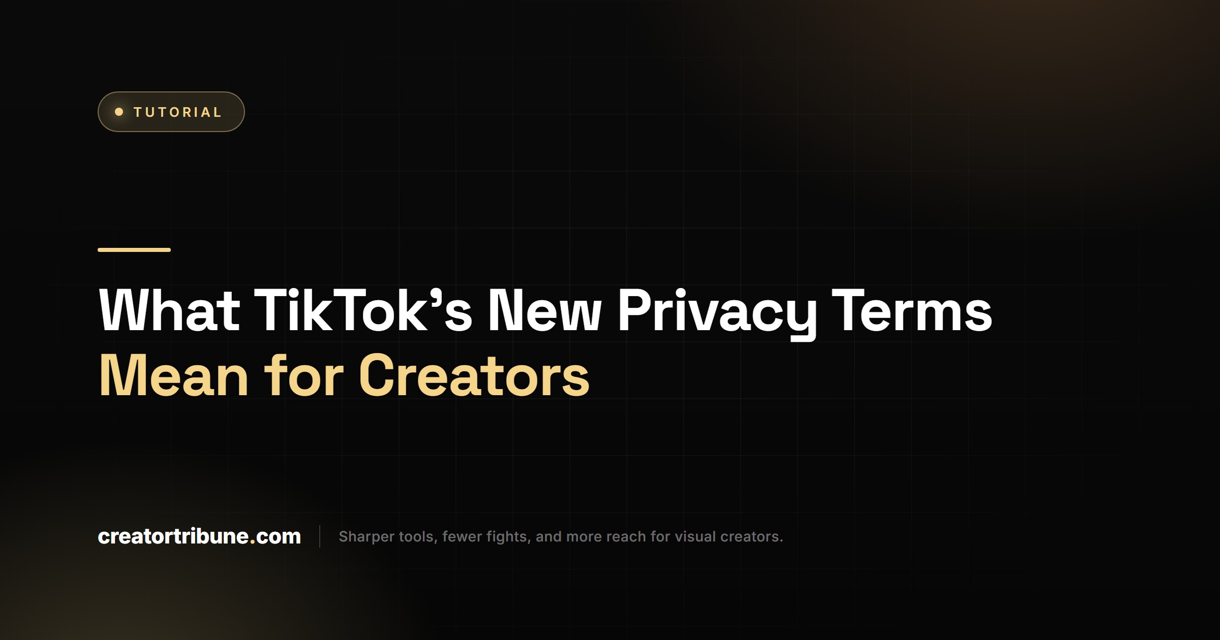 What TikTok's New Privacy Terms Mean for Creators