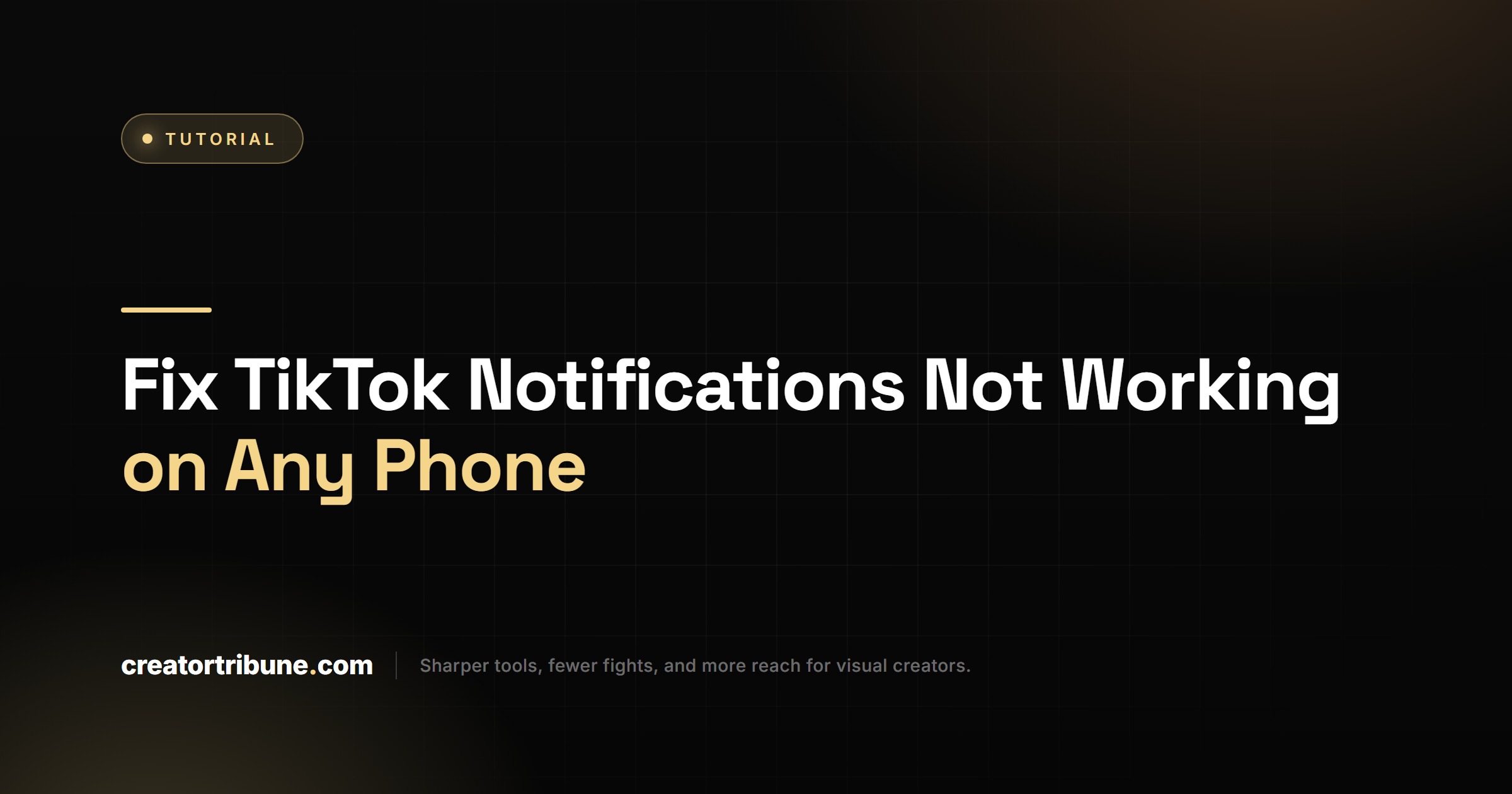 Fix TikTok Notifications Not Working on Any Phone