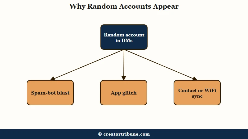 Causes of random TikTok DM accounts
