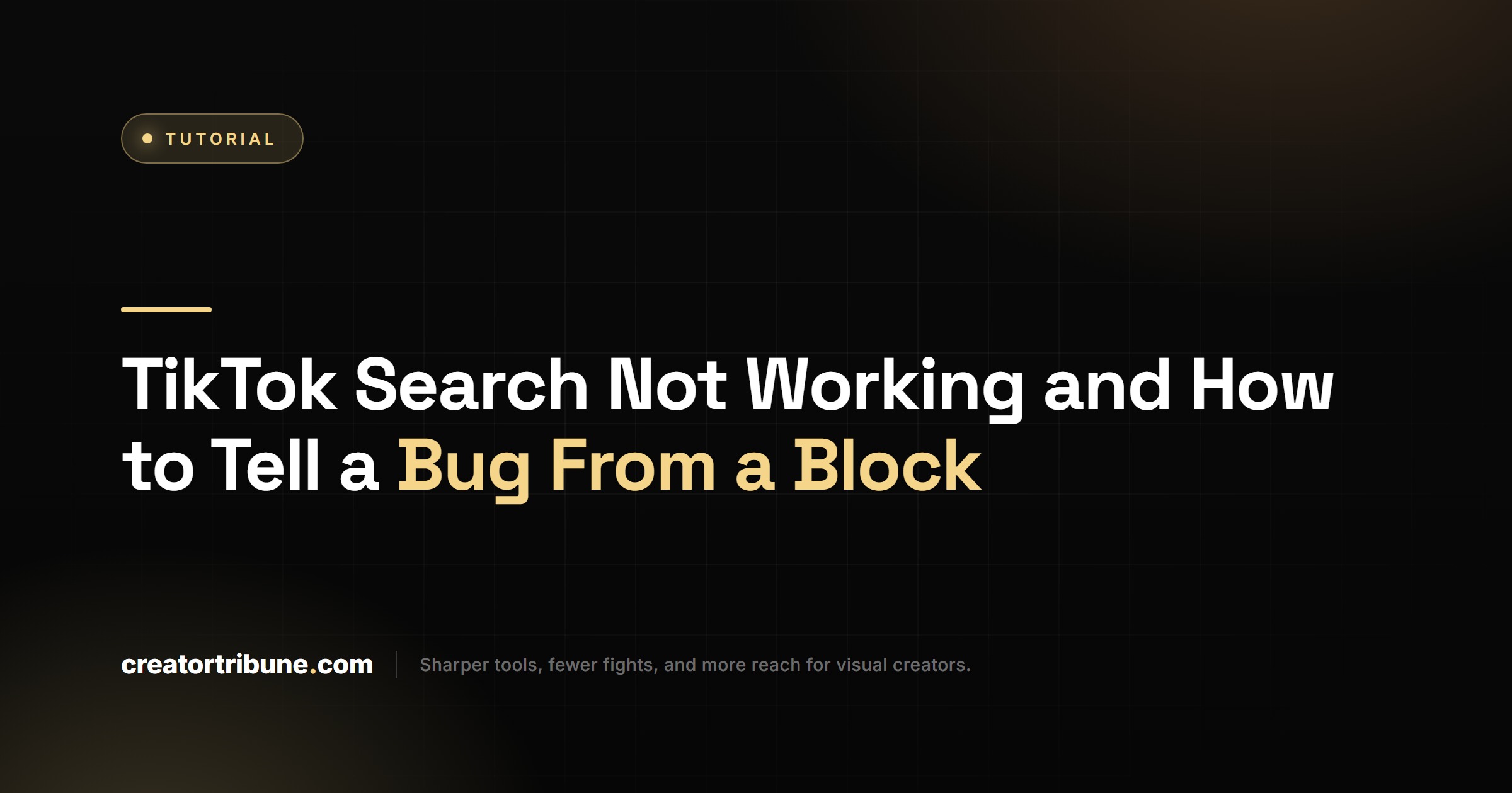 TikTok Search Not Working and How to Tell a Bug From a Block