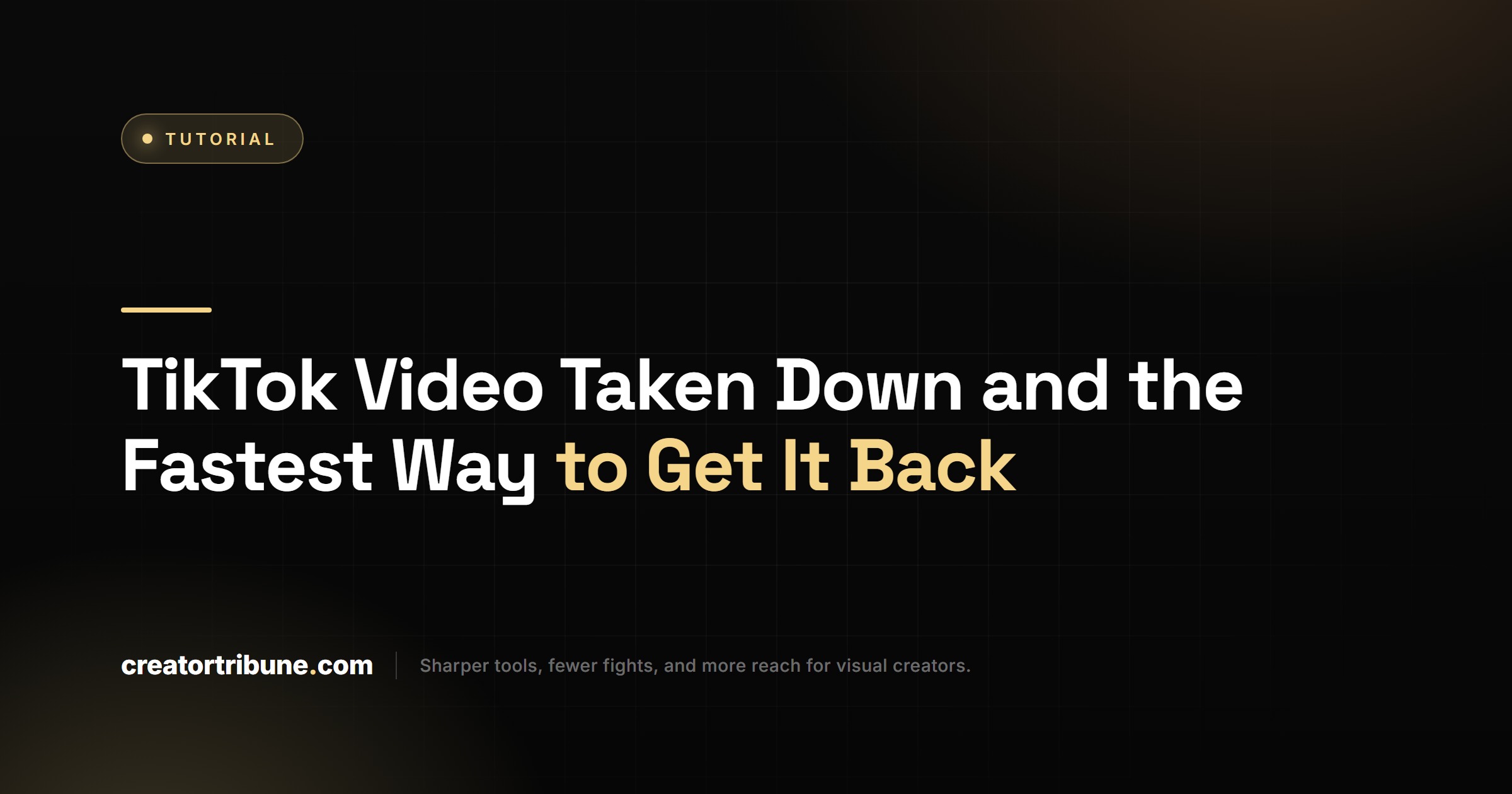TikTok Video Taken Down and the Fastest Way to Get It Back