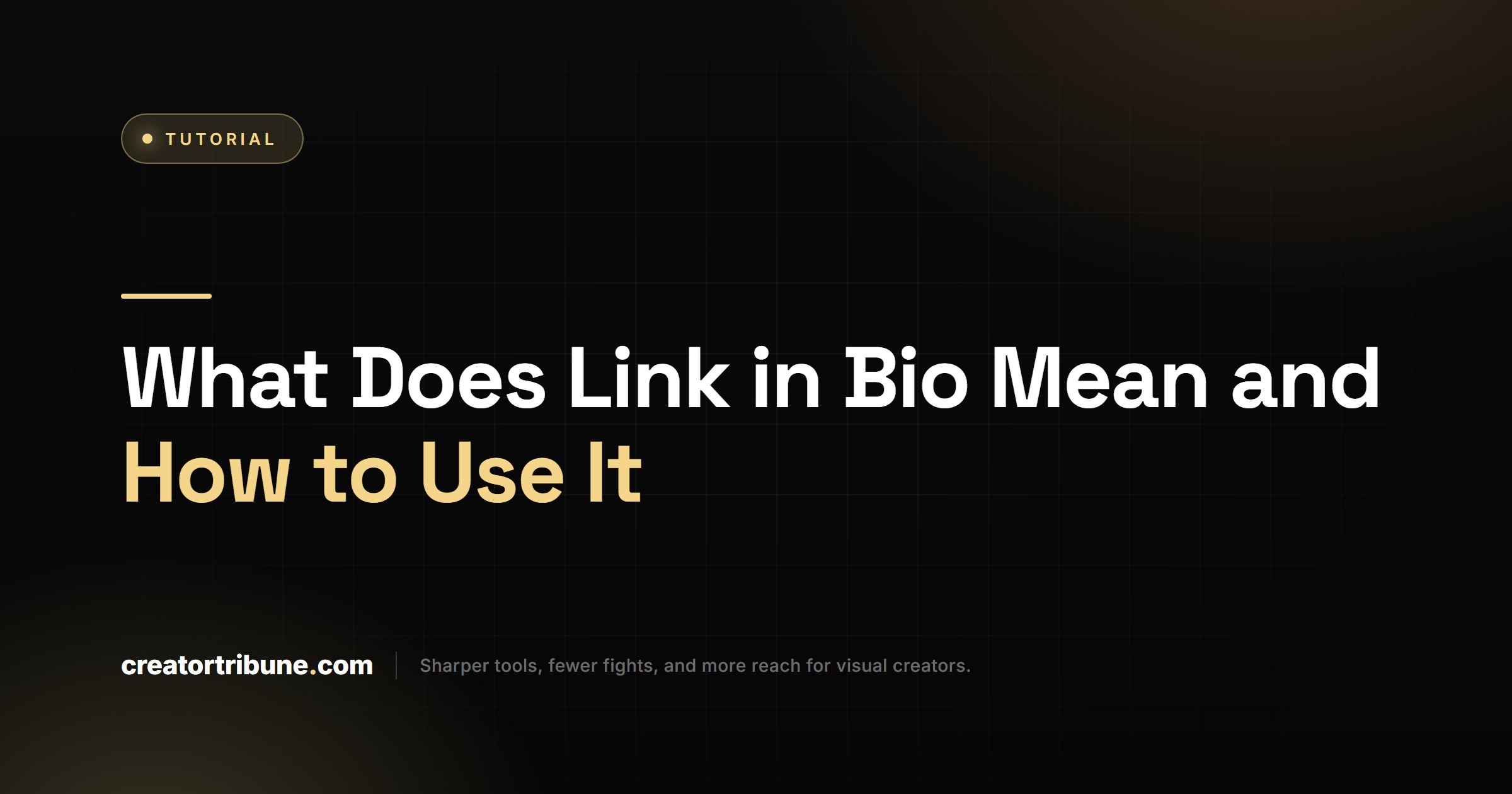 What Does Link in Bio Mean