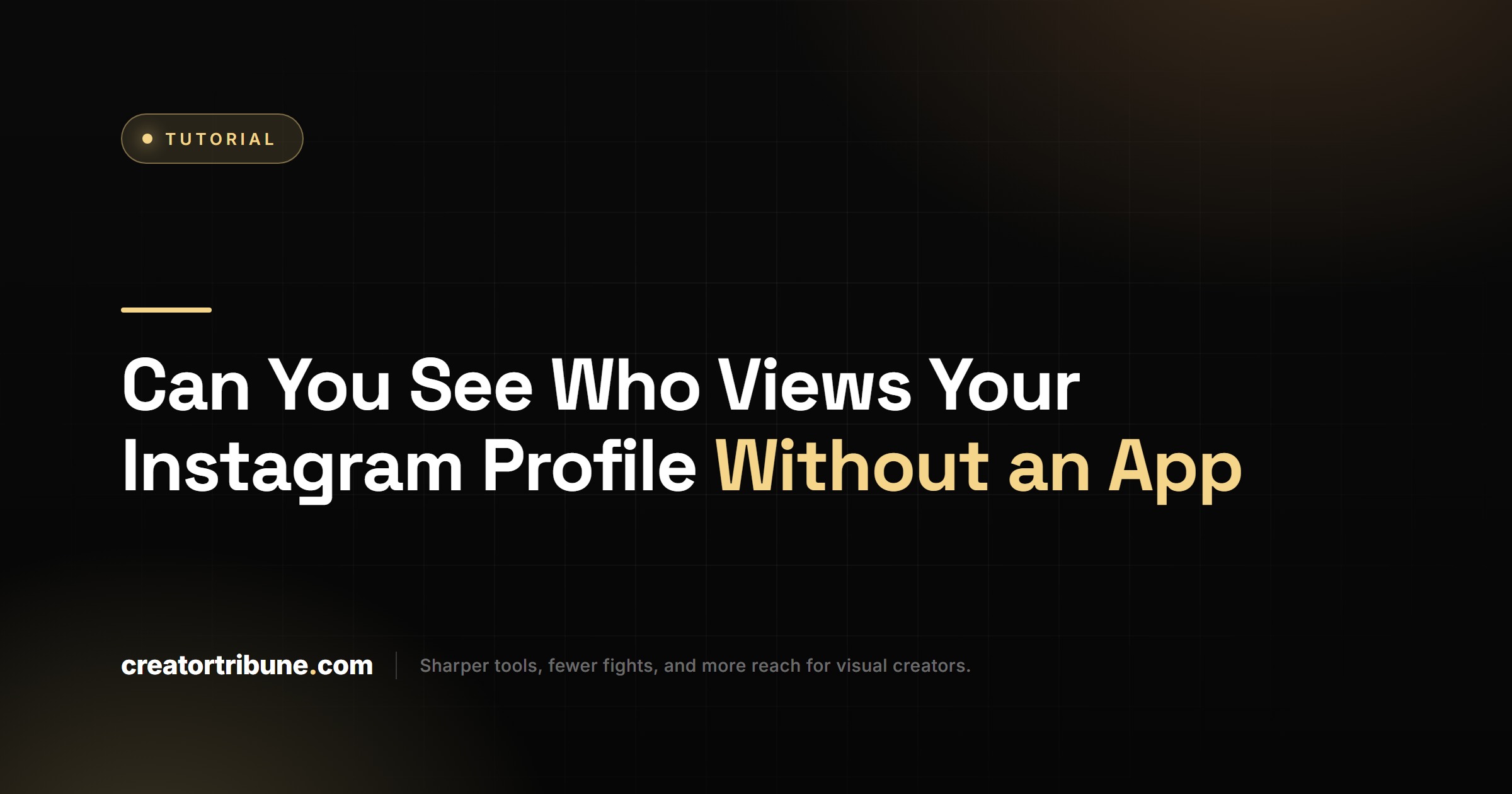 Can You See Who Views Your Instagram Profile Without an App