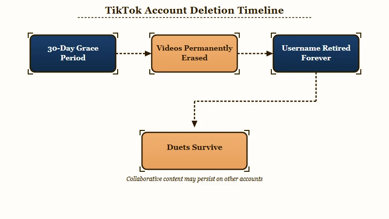 TikTok account deletion outcomes over thirty days
