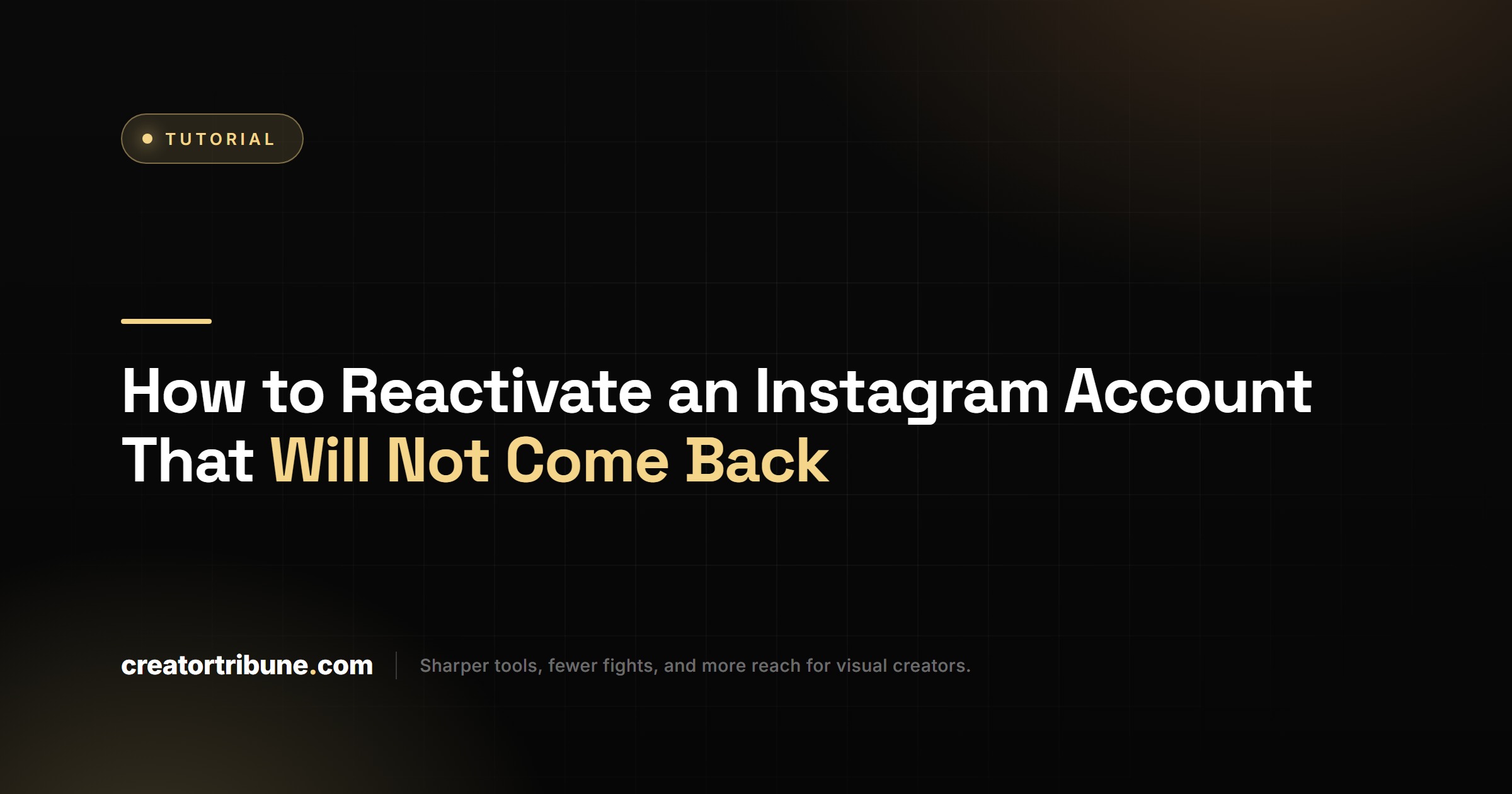 How to Reactivate an Instagram Account That Will Not Come Back