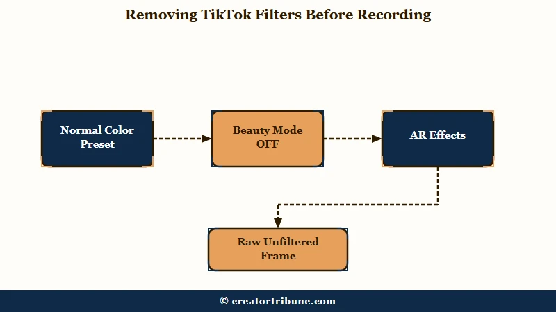 Steps to clear TikTok filters before recording
