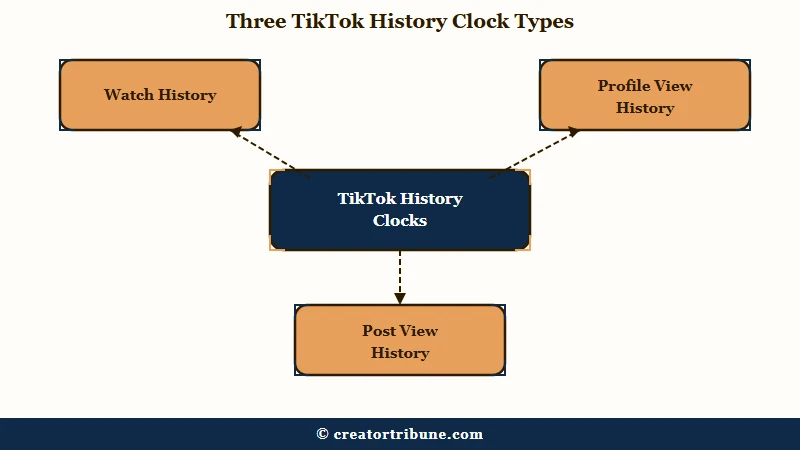 Three TikTok history types and retention windows