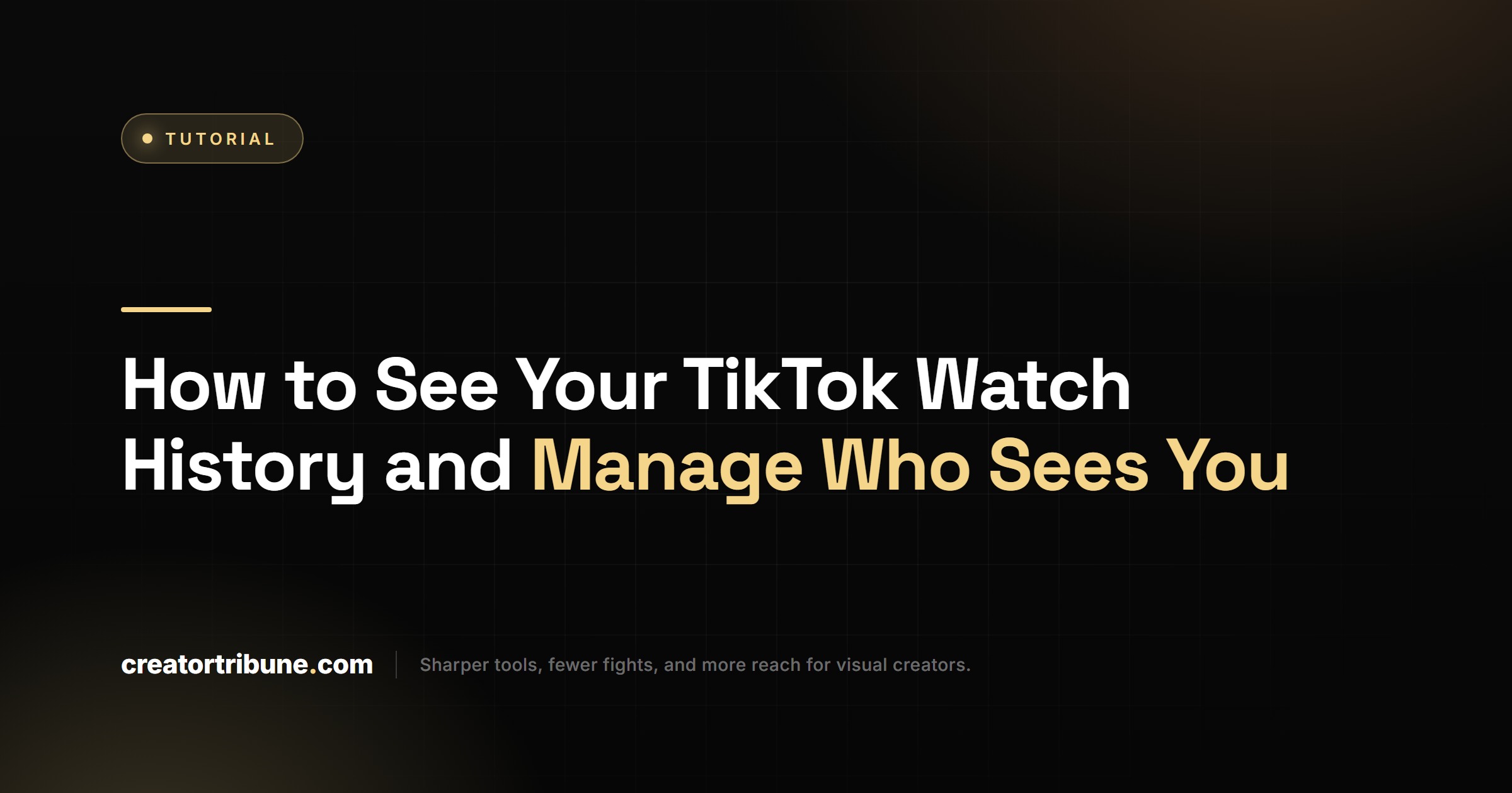 How to See Your TikTok Watch History