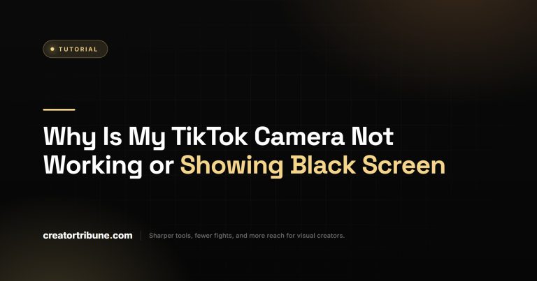 Why Is My TikTok Camera Not Working or Showing Black Screen