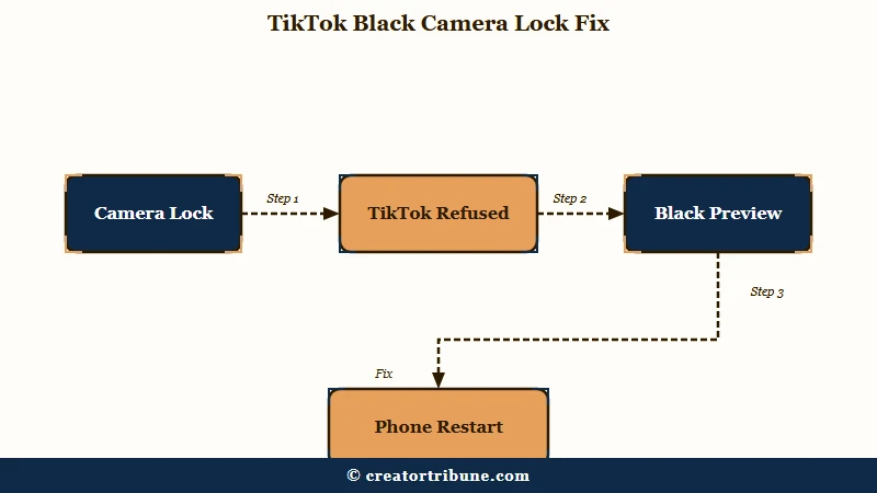 Why another app holding the camera blocks TikTok