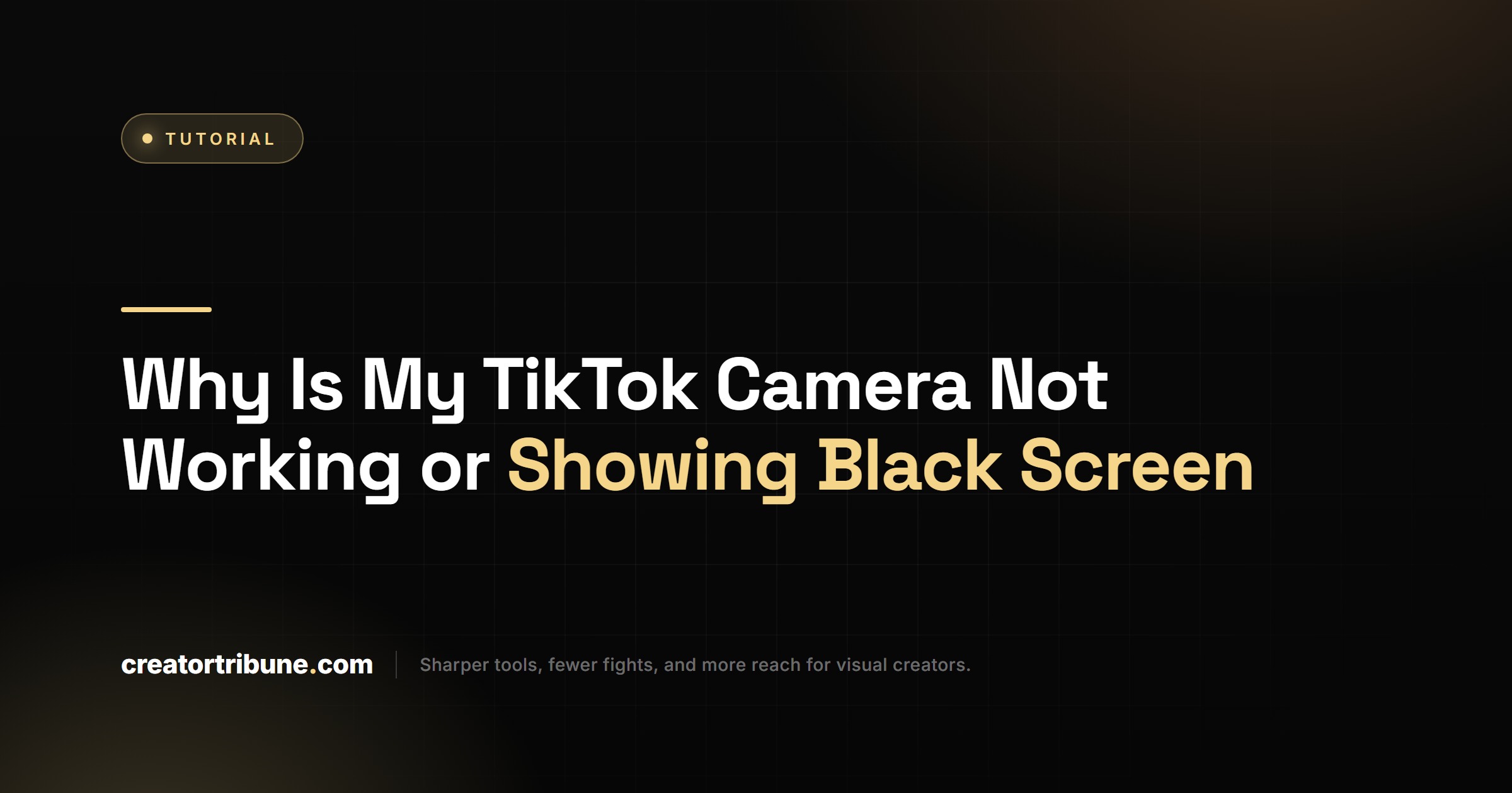 Why Is My TikTok Camera Not Working or Showing Black Screen
