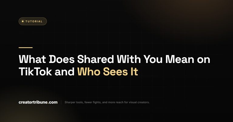 What Does Shared With You Mean on TikTok