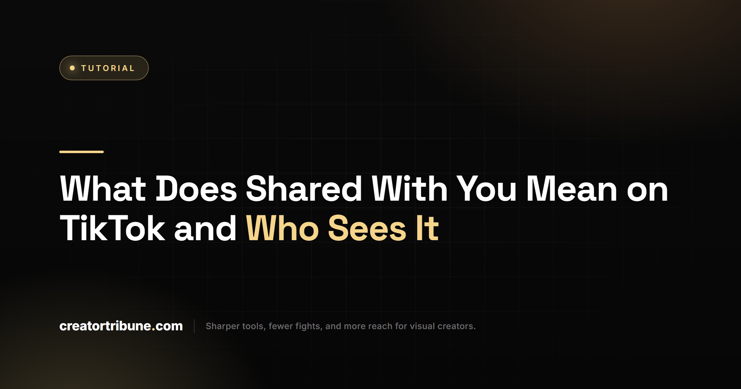 What Does Shared With You Mean on TikTok