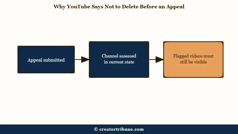 YouTube appeal state preservation rules