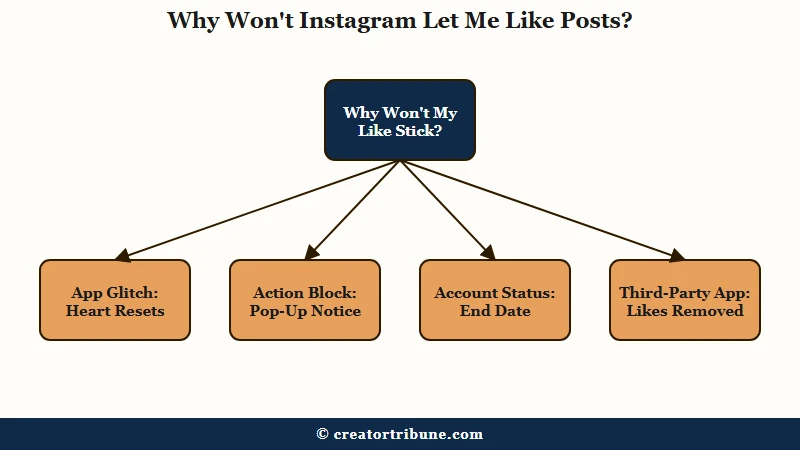 Four reasons Instagram won't let you like posts