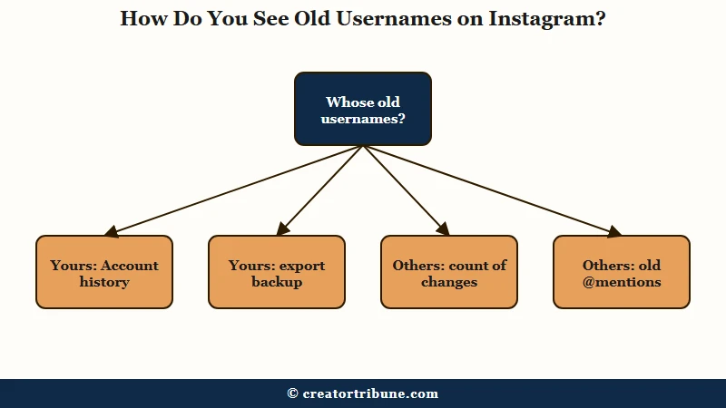 Where Instagram shows old usernames by account